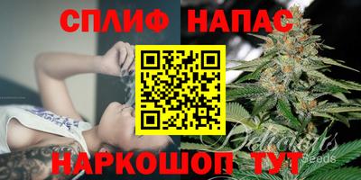прущий лед Новозыбков
