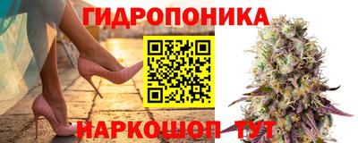 стаф Новокубанск