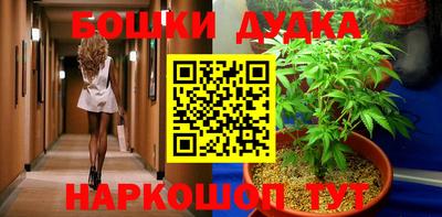 стаф Новокубанск