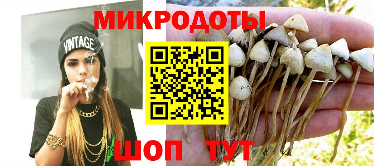 Владикавказ  Псилоцибиновые грибы MAGIC MUSHROOMS  Вход с VPN 